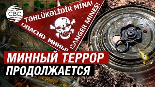 В Армении Есть Силы, Препятствующие Предоставлению Азербайджану Карт Минных Полей