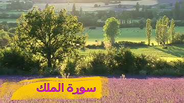 سورة الملك كاملة (تنجيك من عذاب القبر) بصوت مؤثر وجميل جدا بجوده عاليه HD