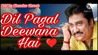 Dil Pagal Deewana Hai ye Pyar Karega (((Jhankar))) Barsaat Kumar Sanu Full HD Song