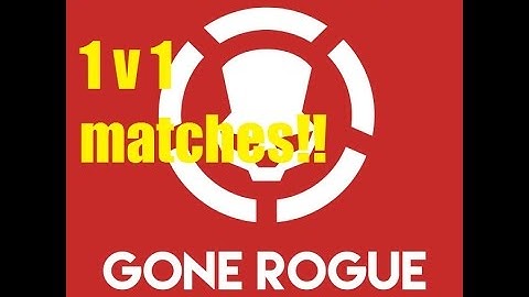The Division 1v1 rogue matches!