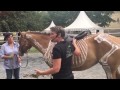 Comment la sellerie gaston mercier mesure le dos de vos chevaux 