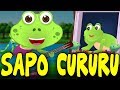 Sapo Cururú - 30 Minutos de Música Infantil - Canções Populares