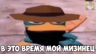 перри утконос танцует туц туц туц пыц пыц