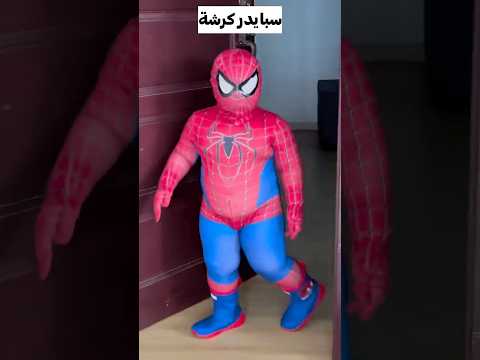 سبايدر بطاطا 