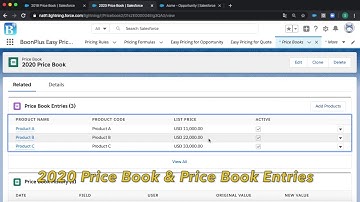 BoonPlus: Switching Price Book with Products Made Easy in Salesforce
