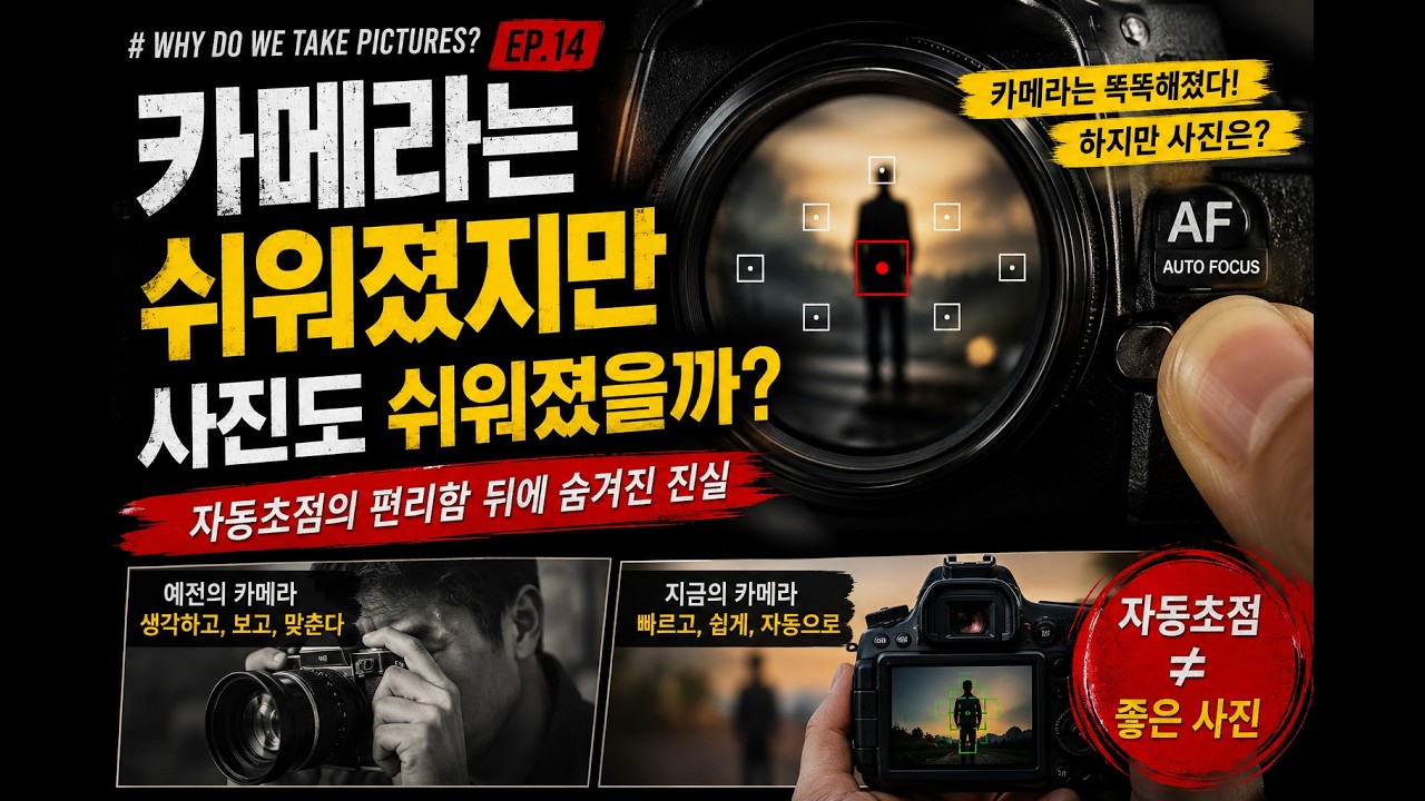 [친절한 사진수업] 14강: 카메라는 알아서 다 맞추는데, 왜 내 사진은 평범할까? (자동 초점 vs 수동 초점)