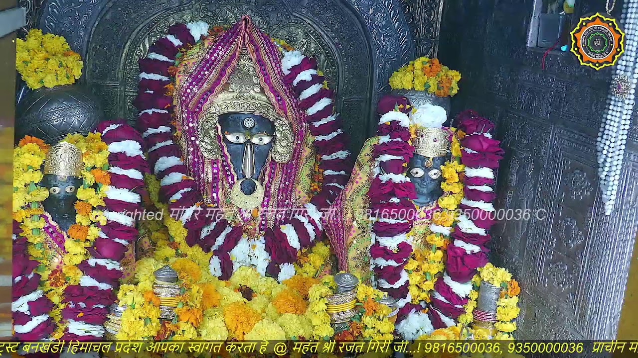 Maa Baglamukhi Official_Live Darshan_mahant shree Rajat giri ji_