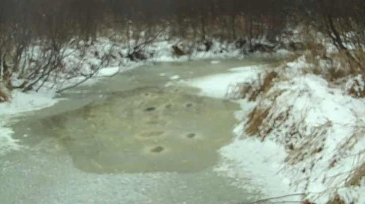 AK47 10 Round Magazine $hitshow