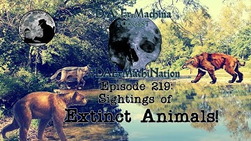 Sightings of Extinct Animals