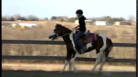 Valley View Ranch    - Bella -       *For up-to-date info, price, etc., go to our website*