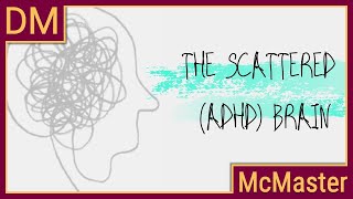 Understanding the scattered (ADHD) brain