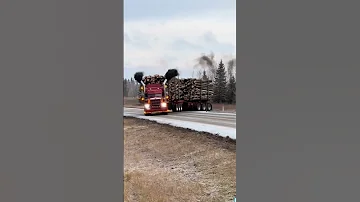 Peterbilt With Power Automobile Heavyvehicle Trailer 