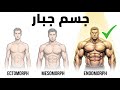 أسرار جسم الإندومورف الطريقة الصحيحة لحرق الدهون وبناء العضلات بكل سهولة 