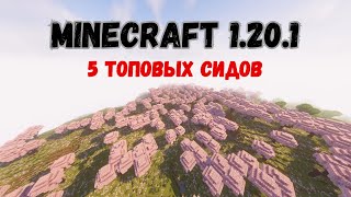 5 лучших сидов для новейшей версии Minecraft Java 1.20.1!