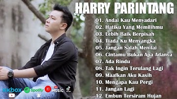 HARRY PARINTANG LAGU GALAU BIKIN BAPER  || Andai Kau Menyadari