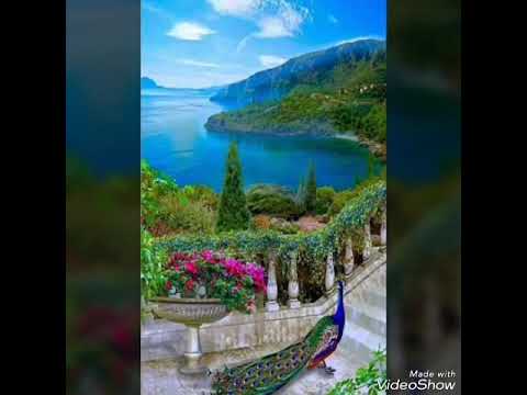 مشاري العفاسي نشيد تبارك الرحمن