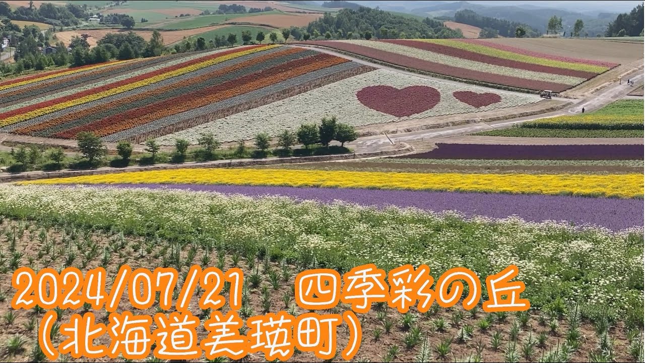 2024/07/21 四季彩の丘（北海道美瑛町） - YouTube