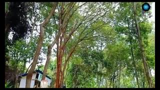 Object Destination In Batam