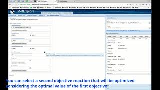 Flux Balance Analysis in MetExplore screenshot 5