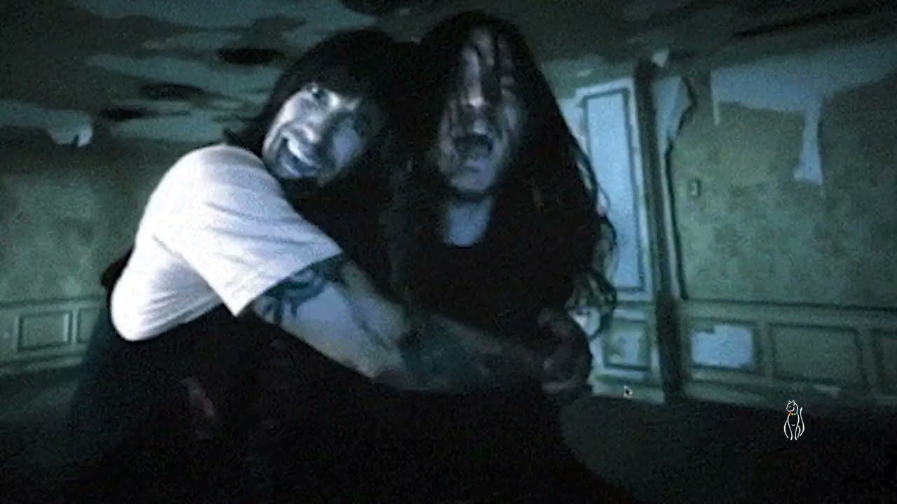 Red Hot Chili Peppers - The Heavy Wing ( s l o w e d + reverb )