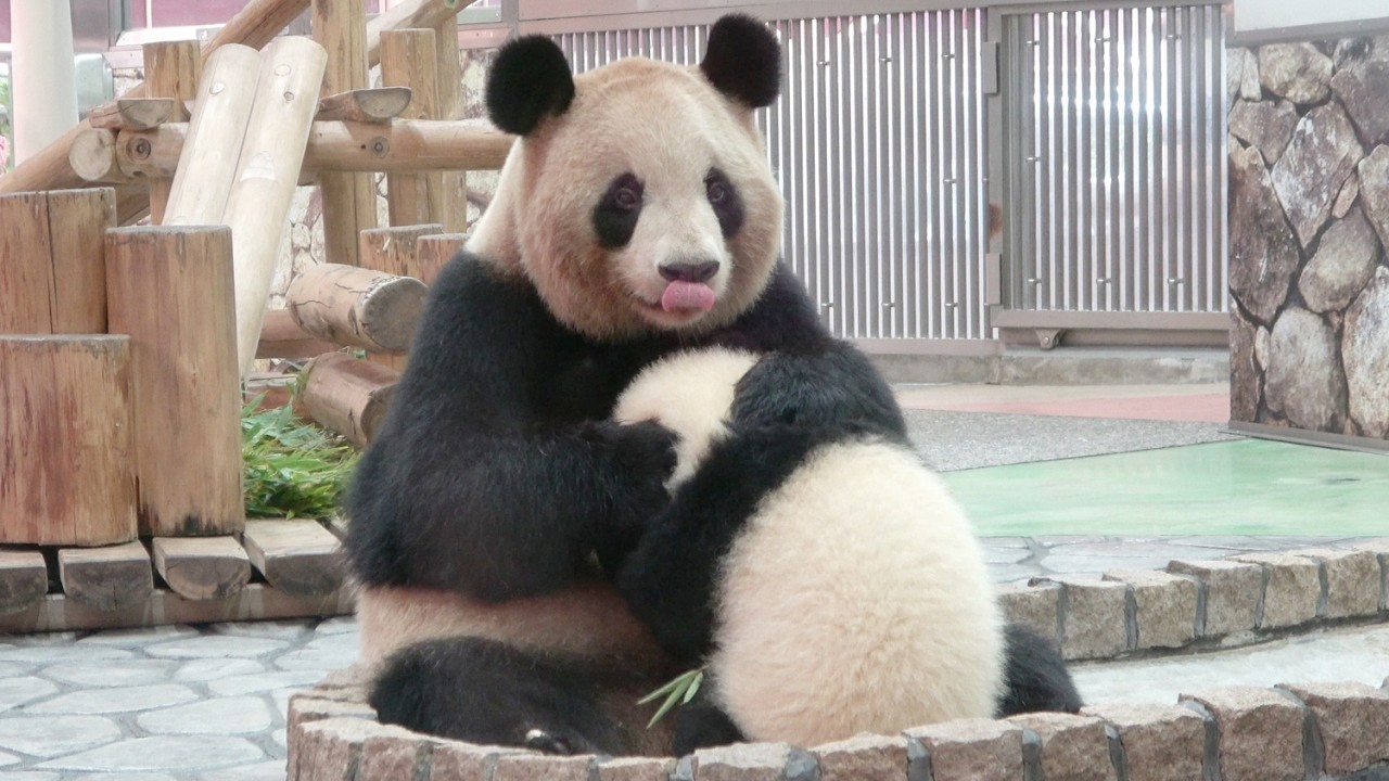 So heartwarming ✨ A sweet moment between mother and child. The