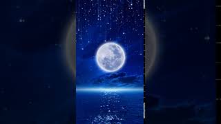 Moonlight of a Night Sea Animated