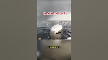 Câu chuyện cảm động về Rái cá mẹ| NamKhamPha