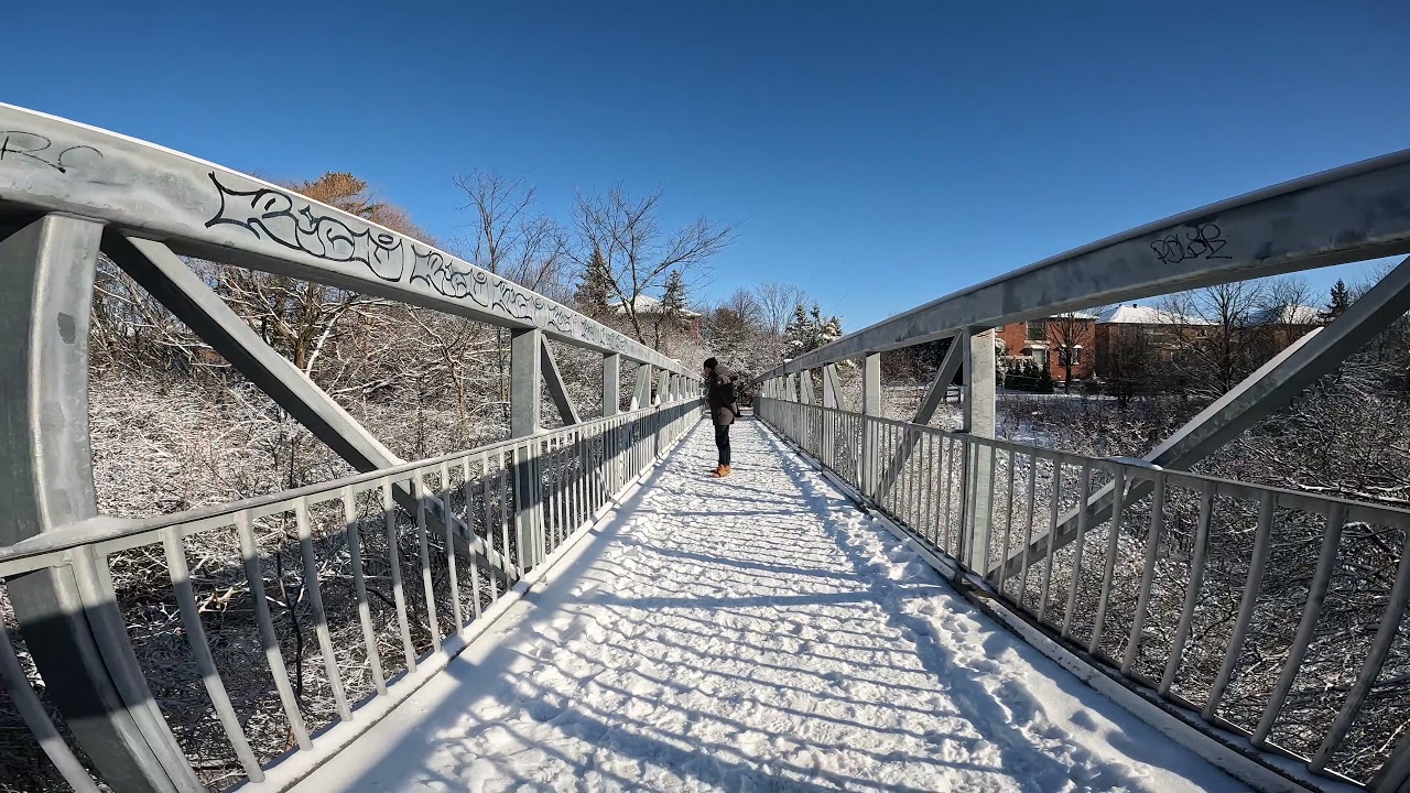 Winter Walk in Oakville [4K] YouTube