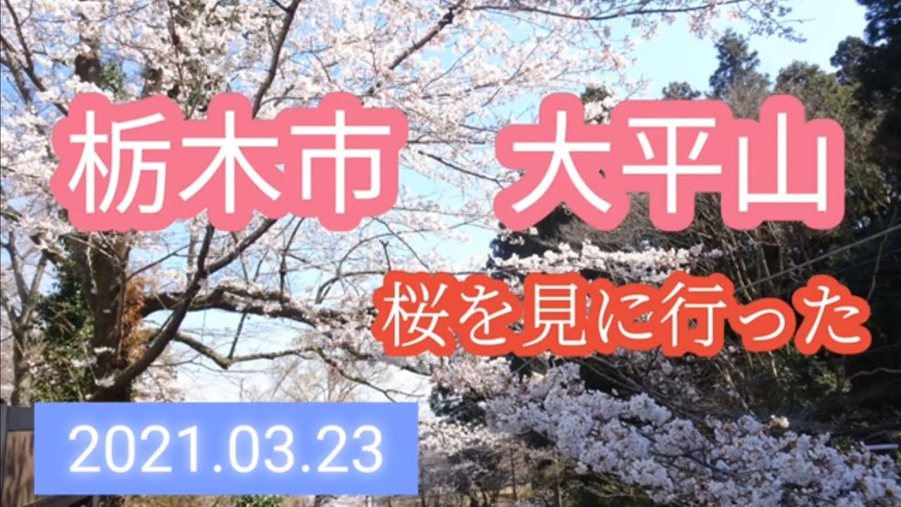 栃木市太平山 桜を見に行った Youtube