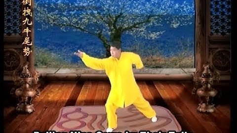 Yi Jin Jing (  易筋经 )  12 Forms Qi Gong Exercise and Tutorial