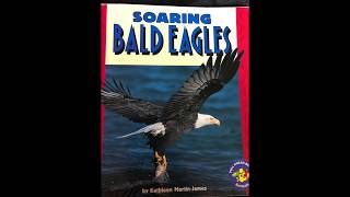 Soaring Bald Eagles One Eagle Soaring Read Aloud