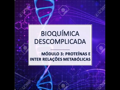 Vídeo: Diferença Entre Aminoácidos Glucogênicos E Cetogênicos