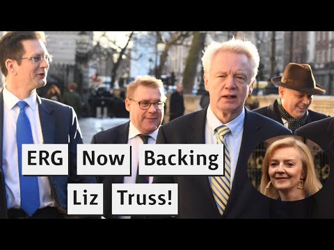 Anti-EU ERG Extremists Now Back Liz Truss For Prime Minister!