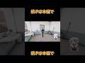卑劣な罠にハマる結月ゆかり #voiceroid実況 #ホラーゲーム