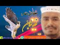 الشاعر محمد علي حماد الشاعر محمد علي حماد
