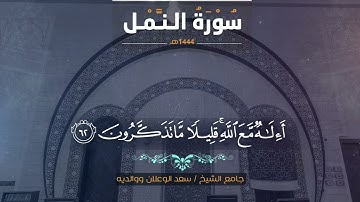 تلاوة من سورة النمل IIالشيخ د. عبدالإله المديميغ #قرآن_كريم