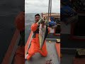 Increíble Pesca de Perico(Dorado)