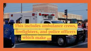 Nabil Adam on Principles of Emergency Management