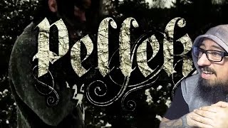 PELLEK's 4 OCTAVE VOCAL RANGE (d2-c6) REACTION