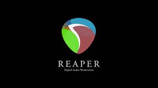 Loop Based Production in REAPER - Part 9/11 - Arrangement - Part I