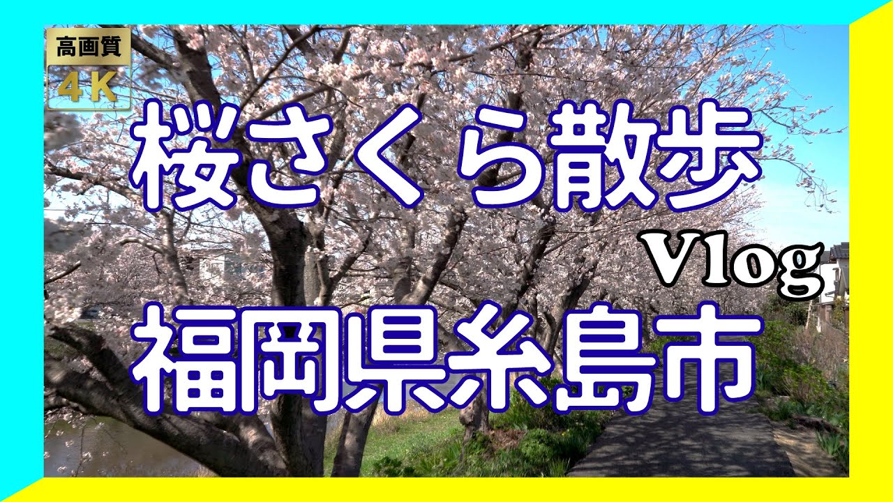 4k Hdr c これが糸島の桜 福岡県糸島市の桜を紹介 Hdr Hlg 癒やしや気分転換に Youtube 4k Hdr c これが糸島の桜 福岡県糸島市の桜を紹介 Hdr Hlg 癒やしや気分転換に Youtube