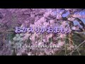 おかえりがおまもり/坂本冬美/Relaxing Music