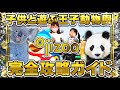 【兵庫・神戸】子供と行こう!神戸市立王子動物園の攻略法。完全ガイド Let's go to the zoo in Kobe