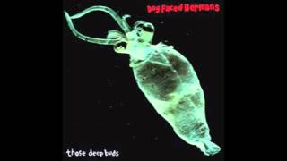 Video thumbnail of "Dog Faced Hermans - Keep Your Laws Off My Body"