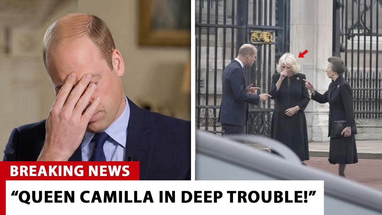 Princess Anne JOINS Forces With William To AVENGE Diana! Camilla FACES Her DARKEST Day In Years!