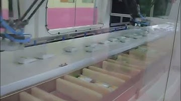 Delta robot spider arm sorting machine for cake