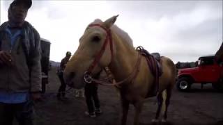 East Java 2017: Ijen Crater & Mount Bromo