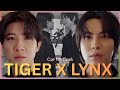MV TIGER LYNX Cat For Cash Between The Tiger S Teeth BL 