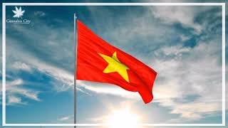XÚC ĐỘNG   Tự Hào Quá Việt Nam Ơi   Nhạc Bay Đây Rồi Anh Em Chờ Gì Nữa 