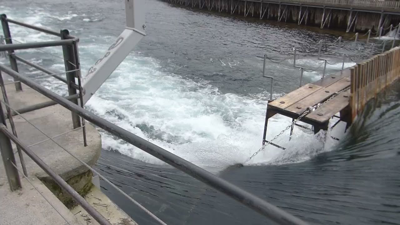 The Reuss, a river in Switzerland (on this video in Lucern)